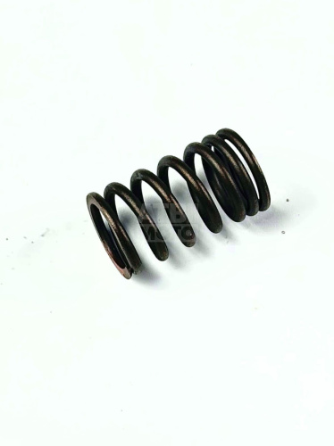 Пружина клапана внешняя 170MM TwinCam Пружина клапана внешняя 170MM TwinCam