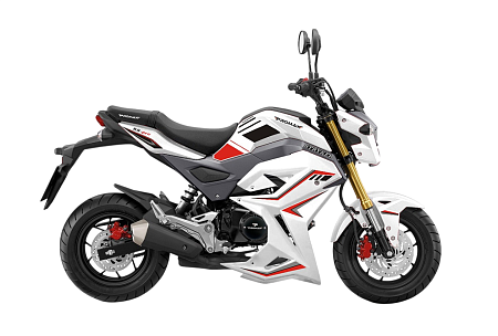 Мотоцикл PROMAX STRYKER 150 2.0