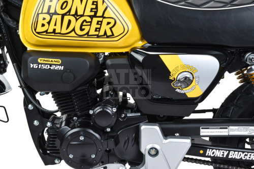 Питбайк Motoland Monkey 150 Питбайк Motoland Monkey 150