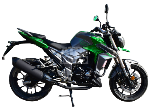 Мотоцикл Regulmoto T-Leopard 300 Мотоцикл Regulmoto T-Leopard 300